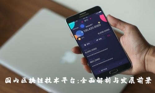 国内区块链技术平台：全面解析与发展前景