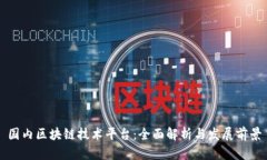 国内区块链技术平台：全面解析与发展前景