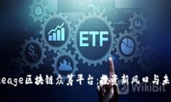 解密Iceage区块链众筹平台:投资新风口与未来愿
