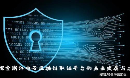 : 探索浙江电子区块链取证平台的未来发展与应用