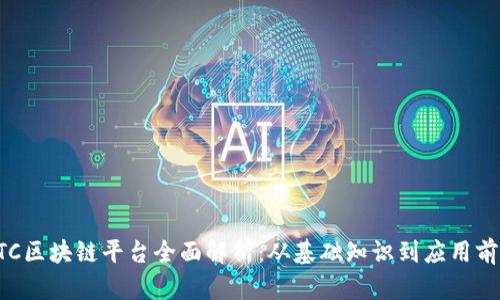 ETC区块链平台全面解析：从基础知识到应用前景