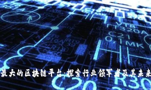 中国最大的区块链平台：探索行业领军者及其未来发展